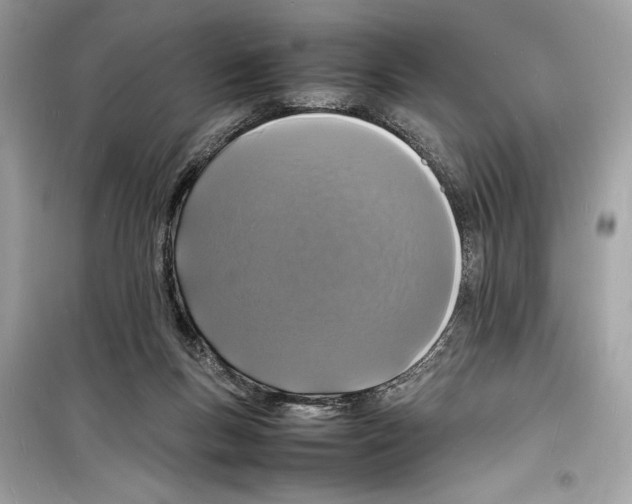 X0000098180167200805221545