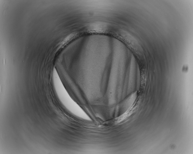 X0000098180168200805221545