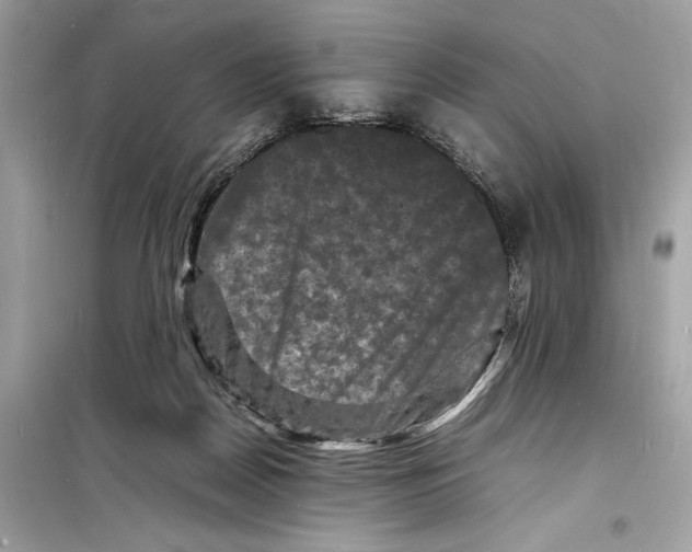 X0000098180170200805221545