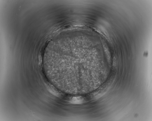 X0000098180173200805221545