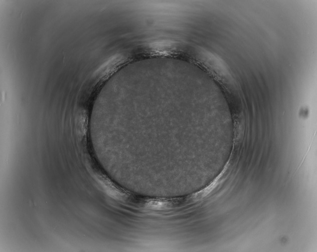 X0000098180174200805221545