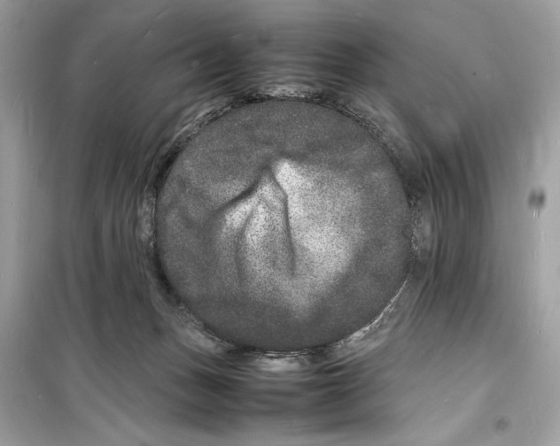 X0000098180175200805221545