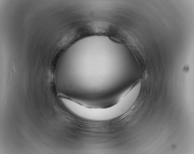 X0000098180176200805221545