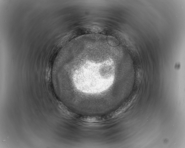 X0000098180177200805221546