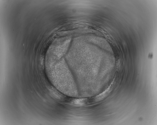 X0000098180178200805221546