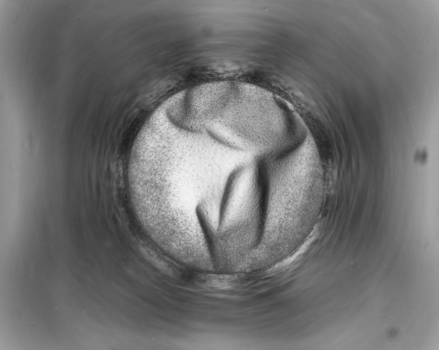 X0000098180182200805221546