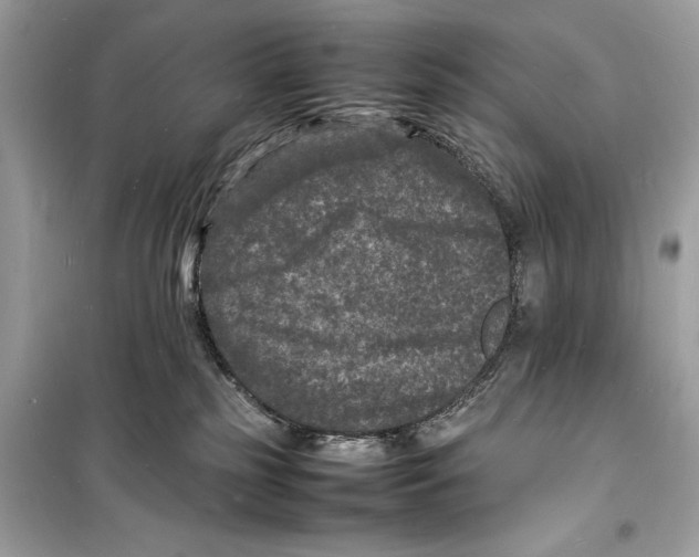 X0000098180185200805221546