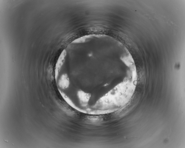 X0000098180187200805221546