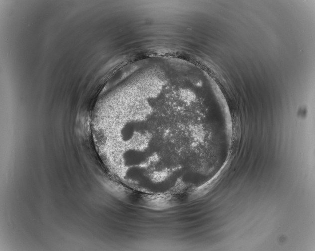 X0000098180191200805221546