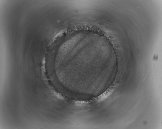 X0000098180192200805221546