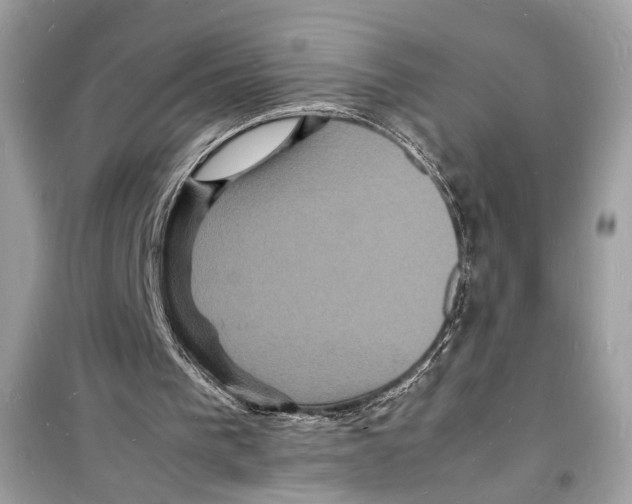 X0000098180193200805221545