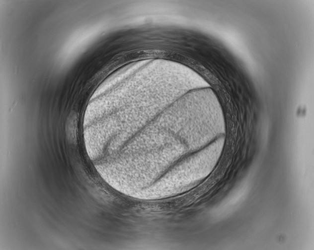 X0000098180194200805221545