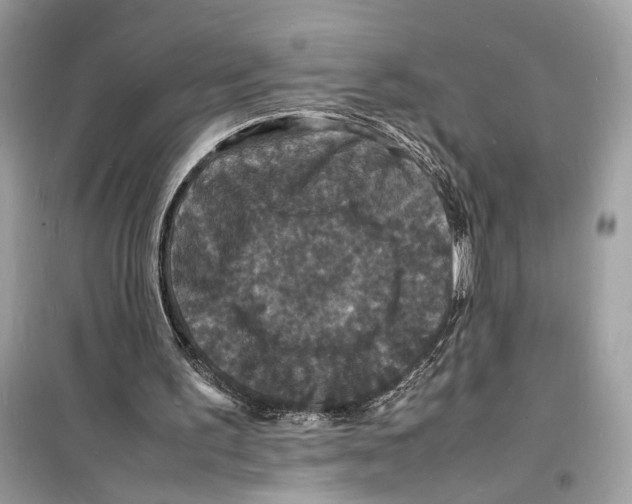 X0000098180195200805221545