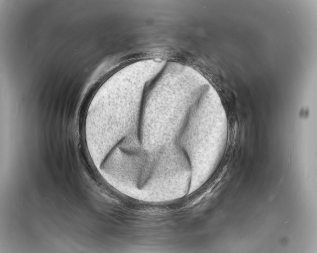 X0000098180198200805221545