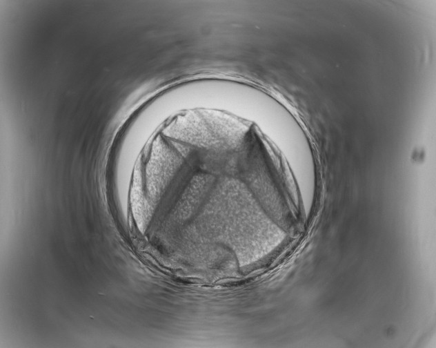 X0000098180199200805221545