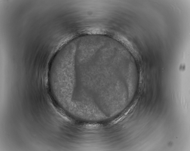 X0000098180202200805221545