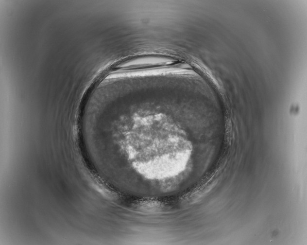 X0000098180203200805221545