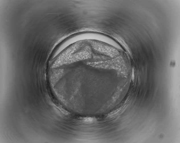 X0000098180204200805221545