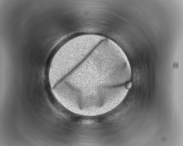 X0000098180208200805221545