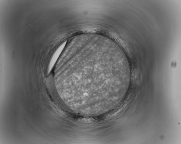 X0000098180209200805221545