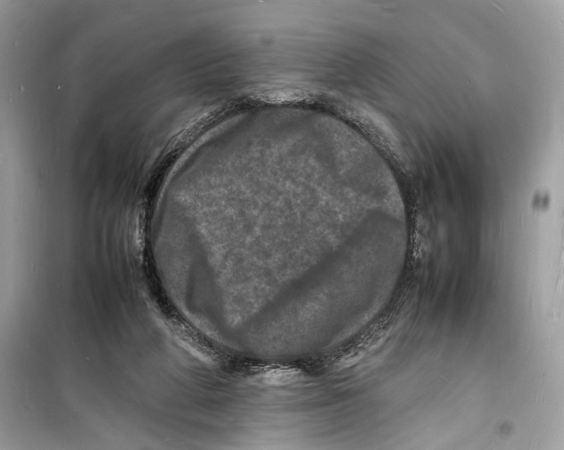 X0000098180210200805221545