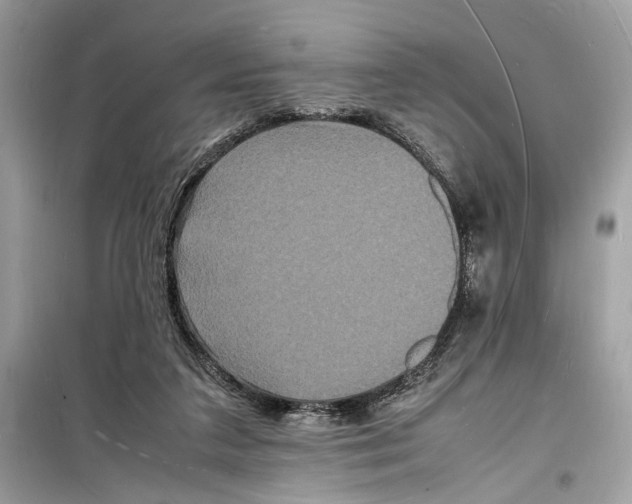 X0000098180211200805221545