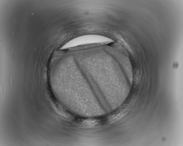 X0000098180213200805221545