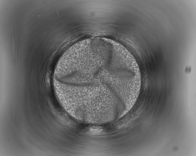 X0000098180214200805221545