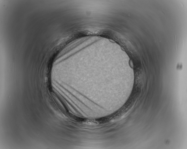 X0000098180215200805221545