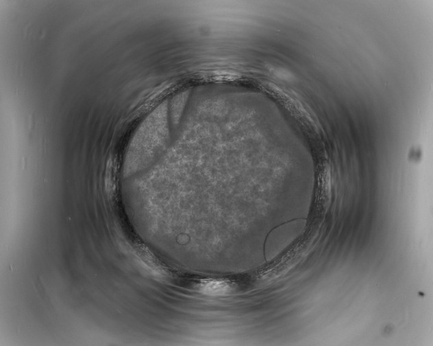 X0000098180218200805221545