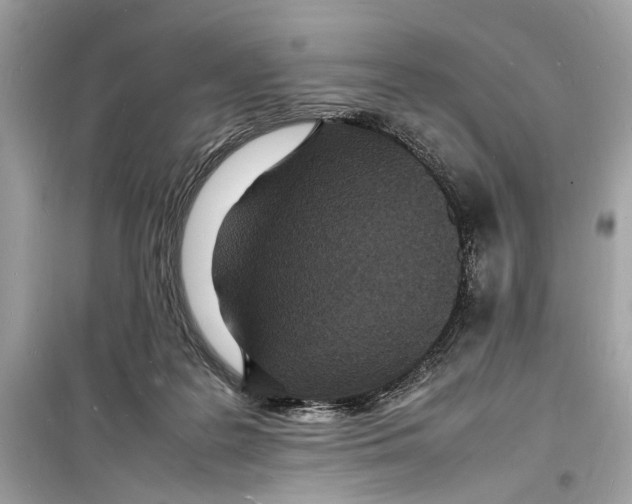 X0000098180219200805221545