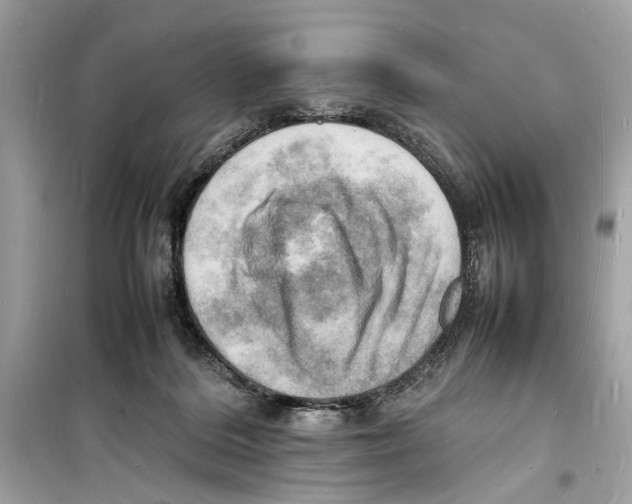 X0000098180220200805221545