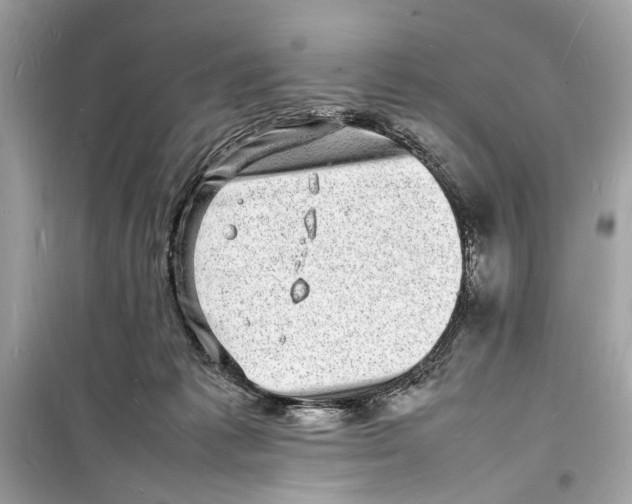 X0000098180221200805221545