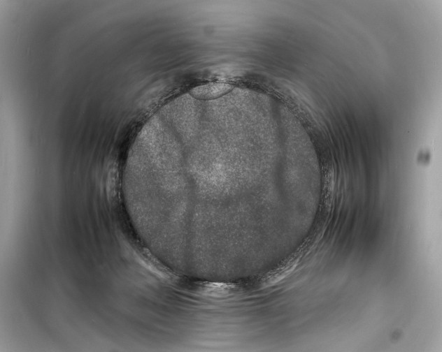 X0000098180222200805221545