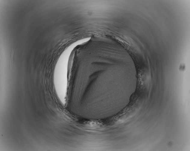 X0000098180223200805221545