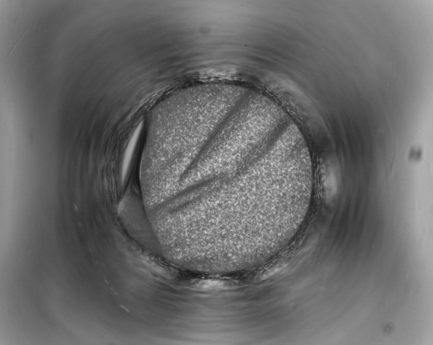 X0000098180224200805221545