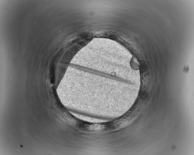 X0000098180225200805221545