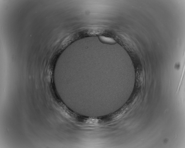 X0000098180227200805221545