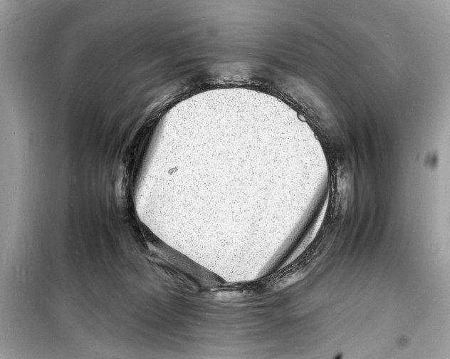 X0000098180228200805221545