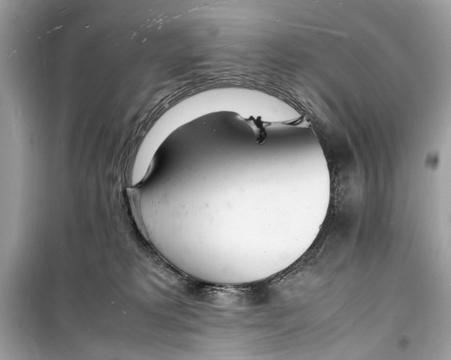 X0000098180229200805221545