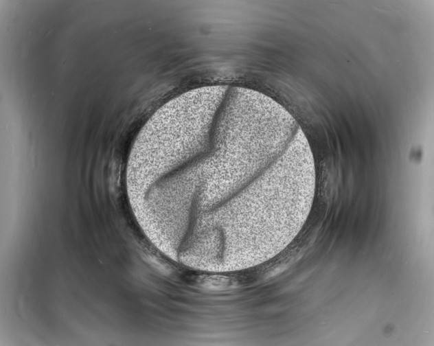 X0000098180230200805221545