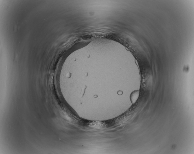 X0000098180231200805221545