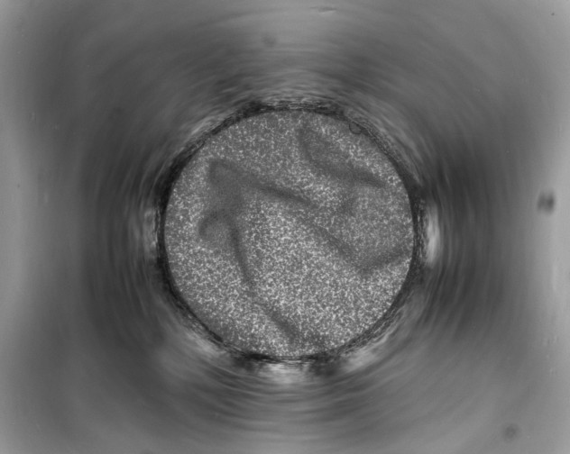 X0000098180232200805221545