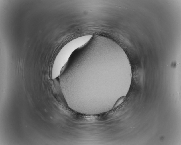 X0000098180233200805221545