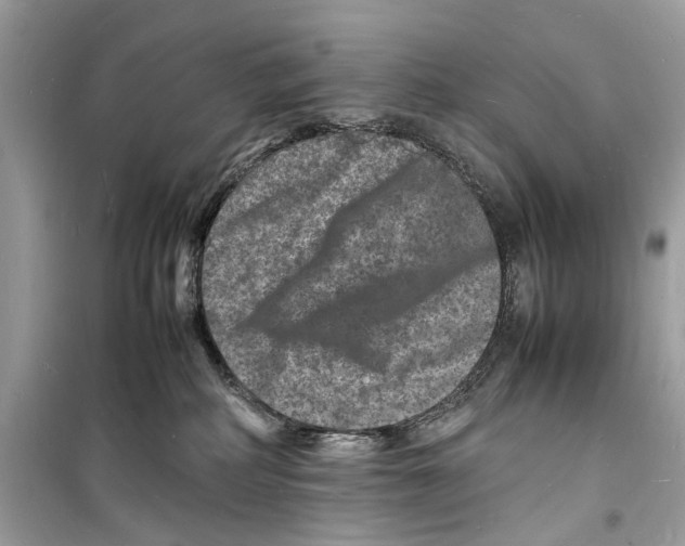 X0000098180234200805221545