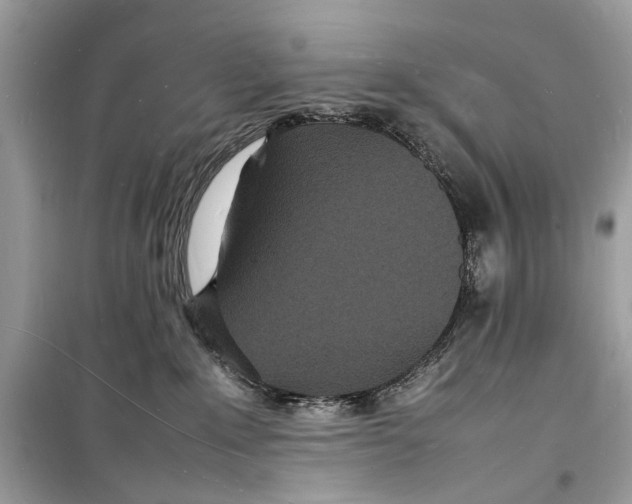 X0000098180235200805221545