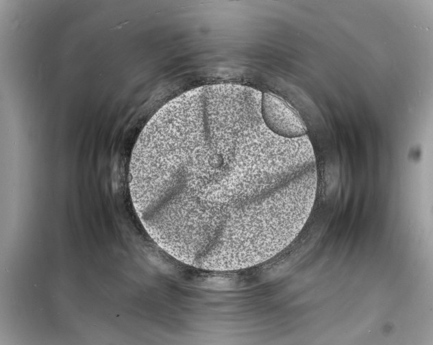 X0000098180236200805221545