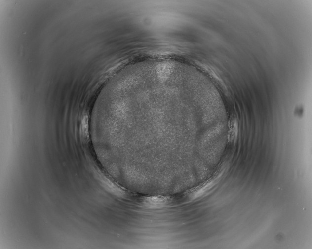 X0000098180238200805221545