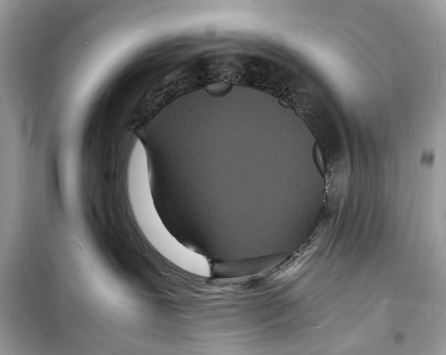 X0000098180239200805221544