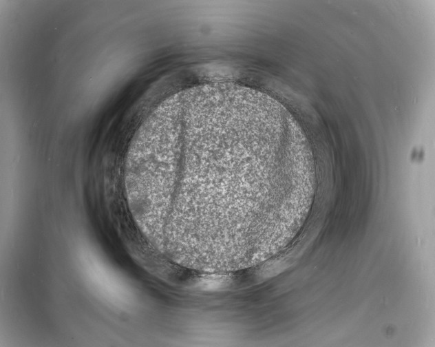 X0000098180240200805221544